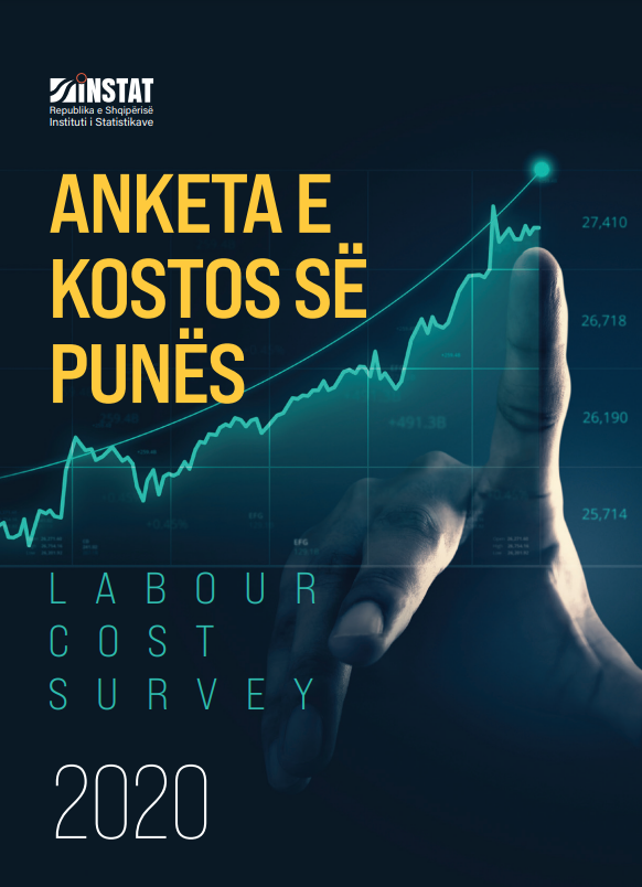 Anketa e Kostos së Punës, 2020