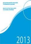 Results of Structural Survey of Economic Enterprises, 2013