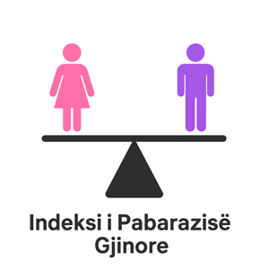 Indeksi i Pabarazisë Gjinore