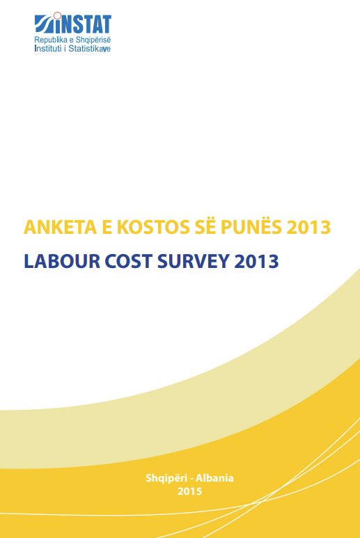 Labour Cost Survey 2013